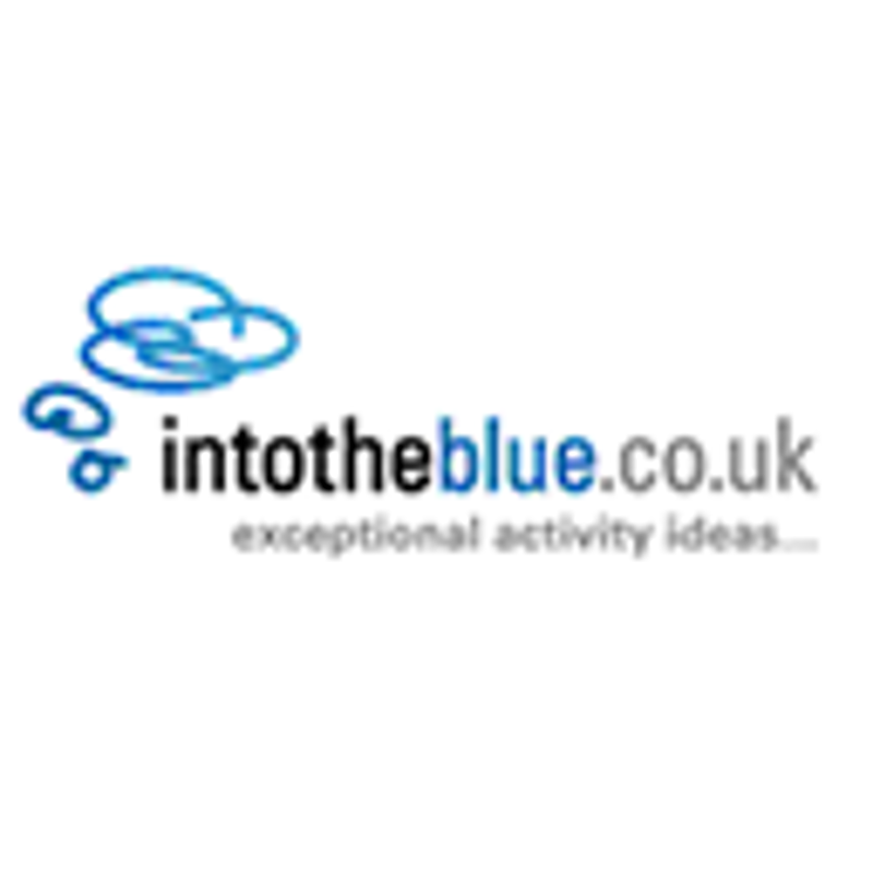 Into The Blue Coupons & Promo Codes