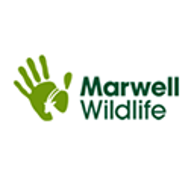 Marwell Wildlife Coupons